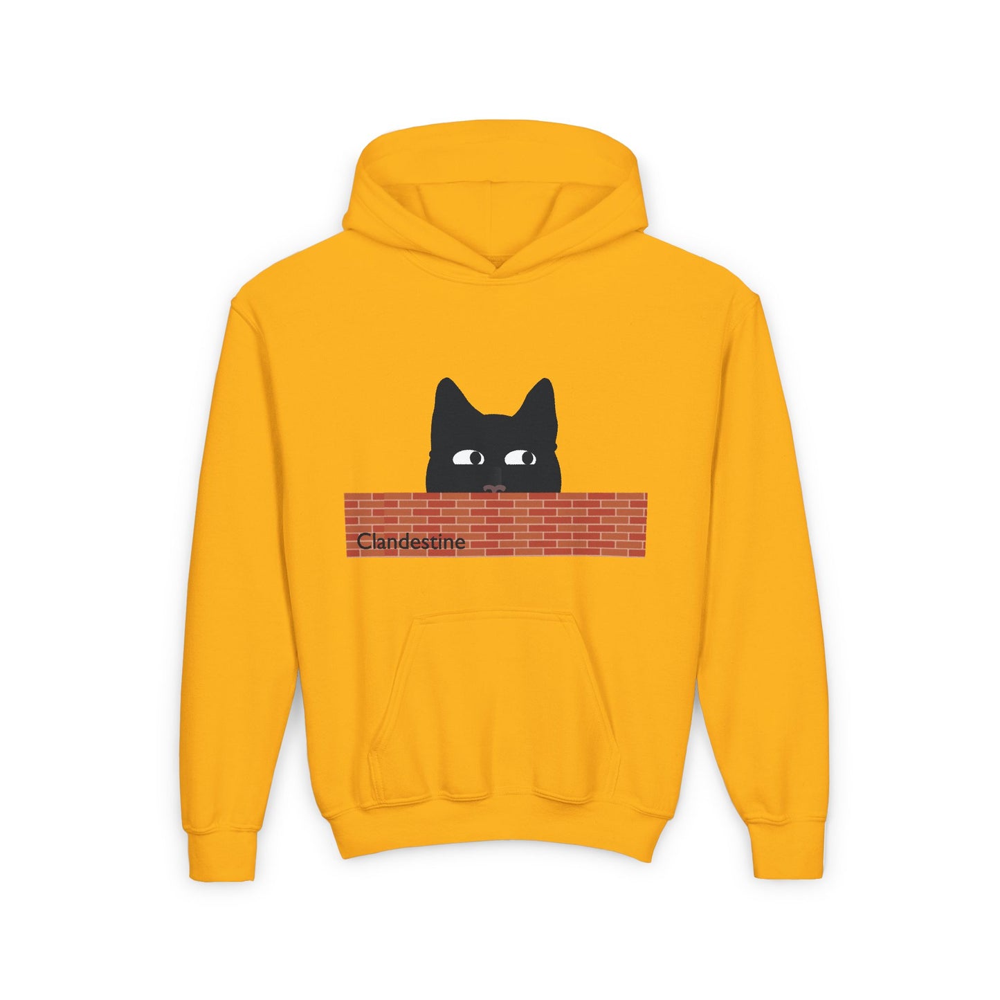Clandestine Cat Youth Hoodie