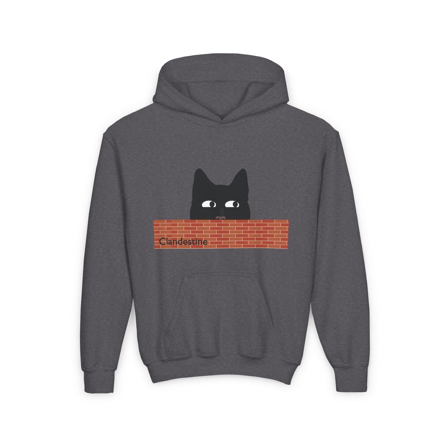 Clandestine Cat Youth Hoodie