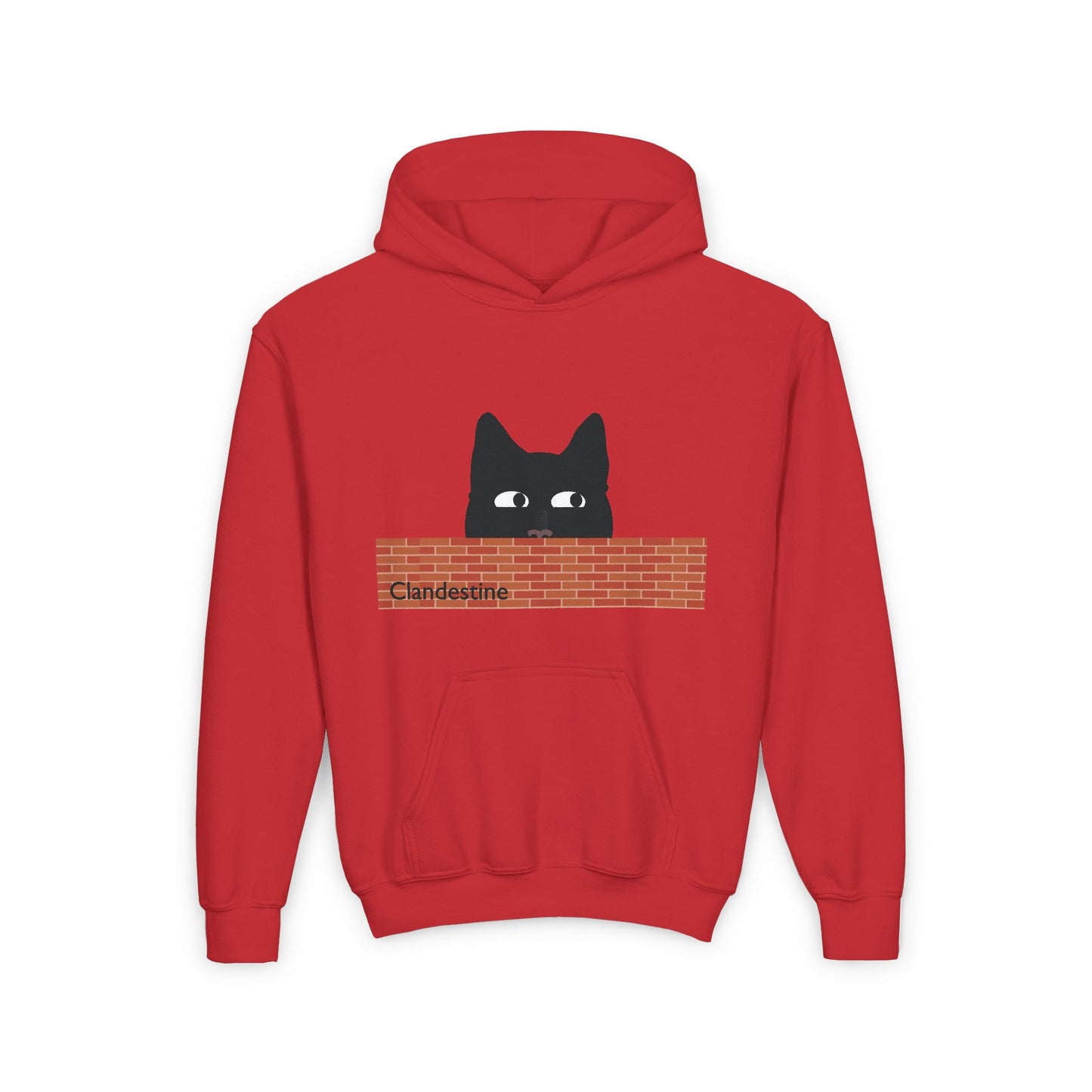 Clandestine Cat Youth Hoodie