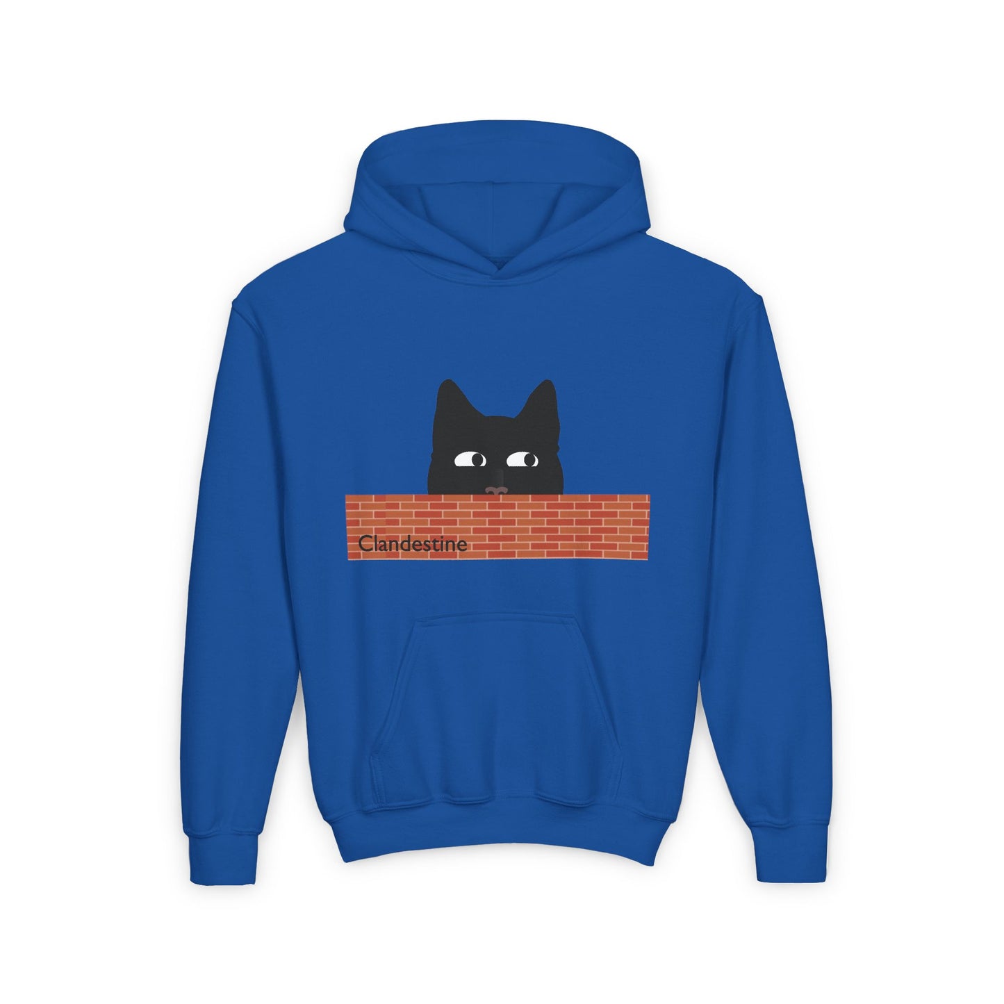 Clandestine Cat Youth Hoodie