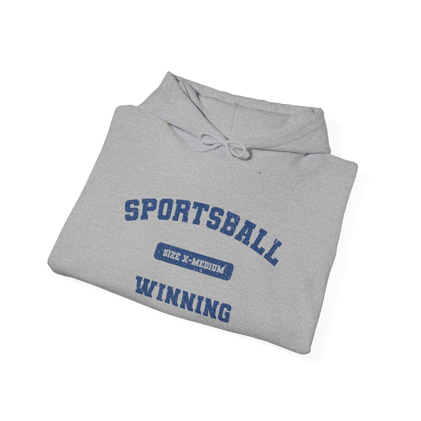 Sportsball Heavy Blend Hoodie