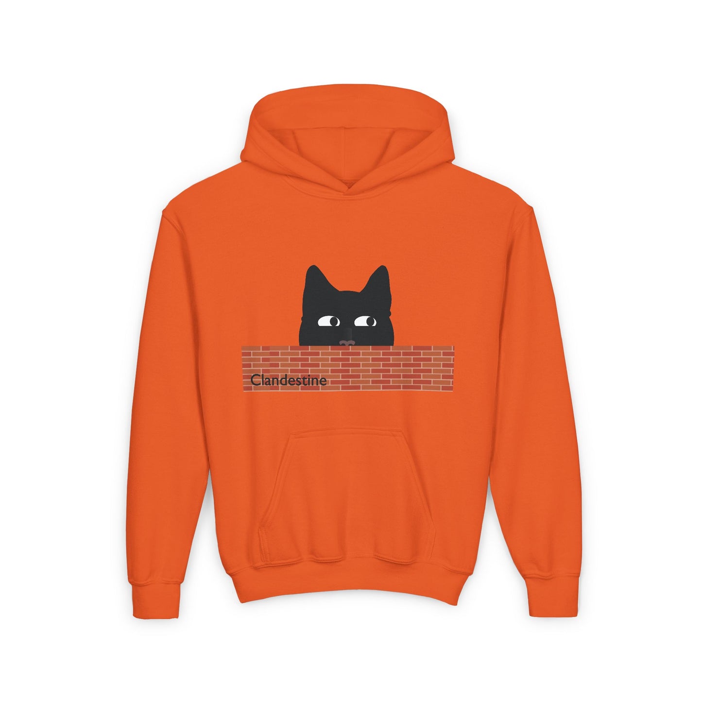 Clandestine Cat Youth Hoodie
