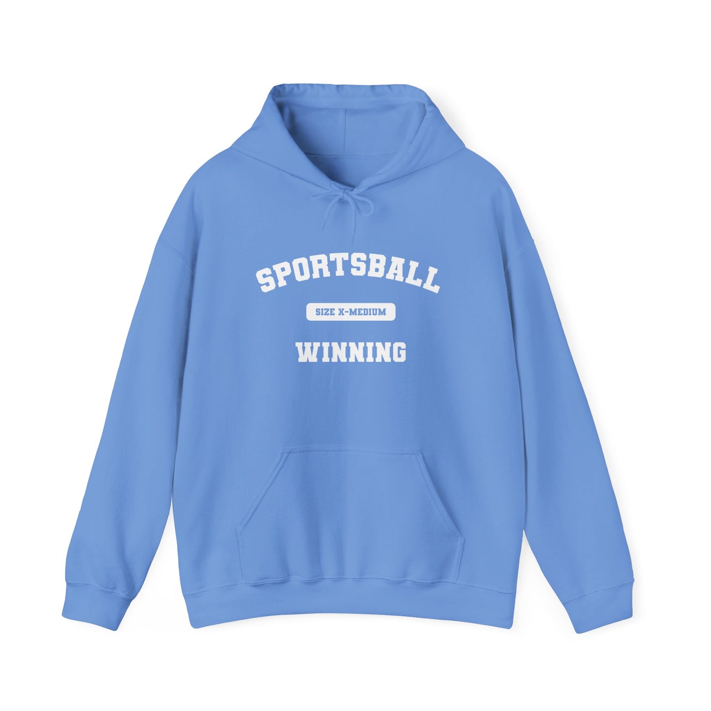 Sportsball Heavy Blend Hoodie