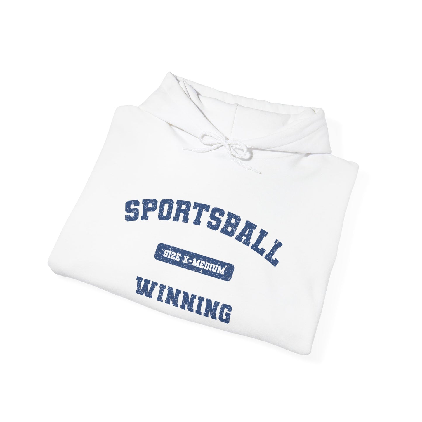 Sportsball Heavy Blend Hoodie