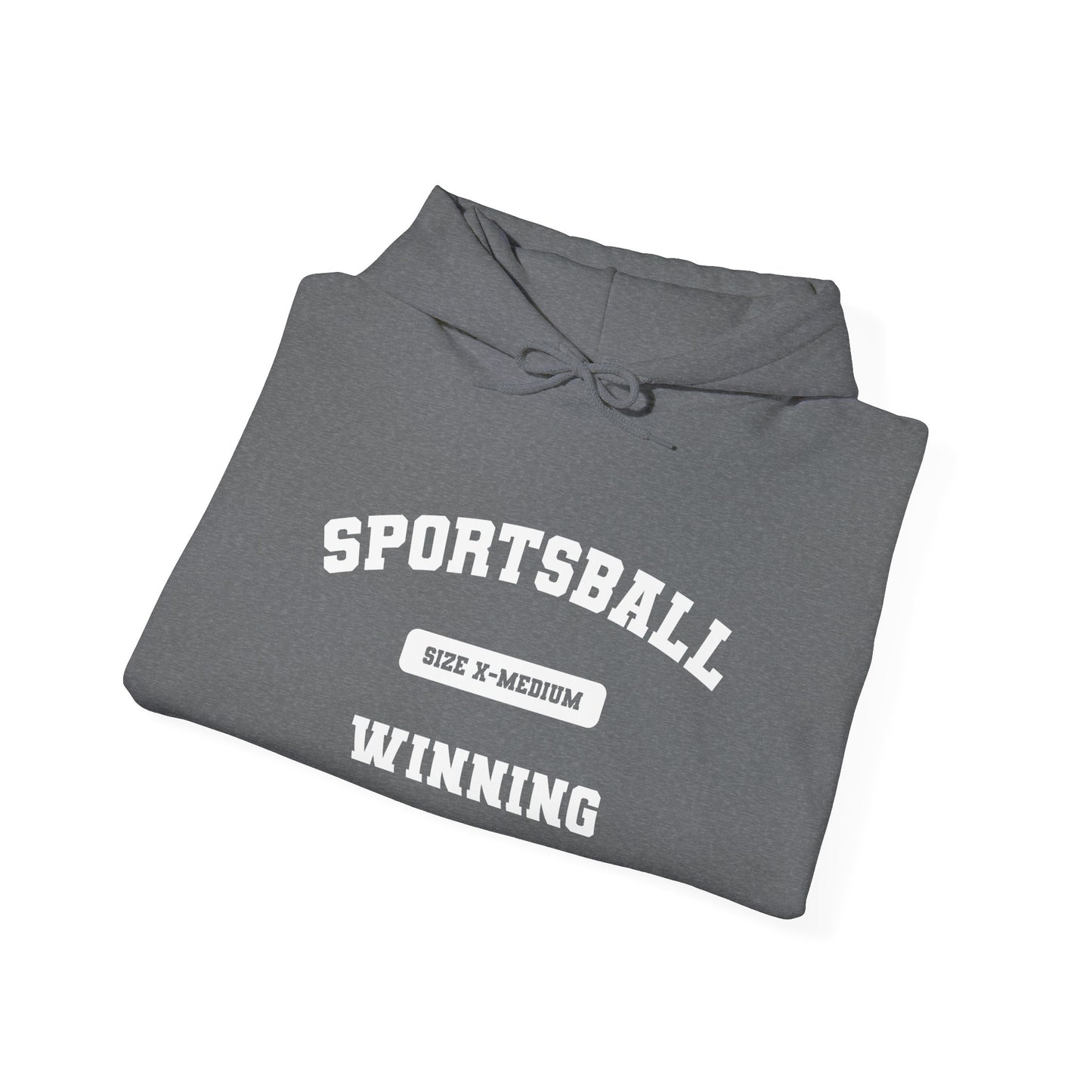 Sportsball Heavy Blend Hoodie