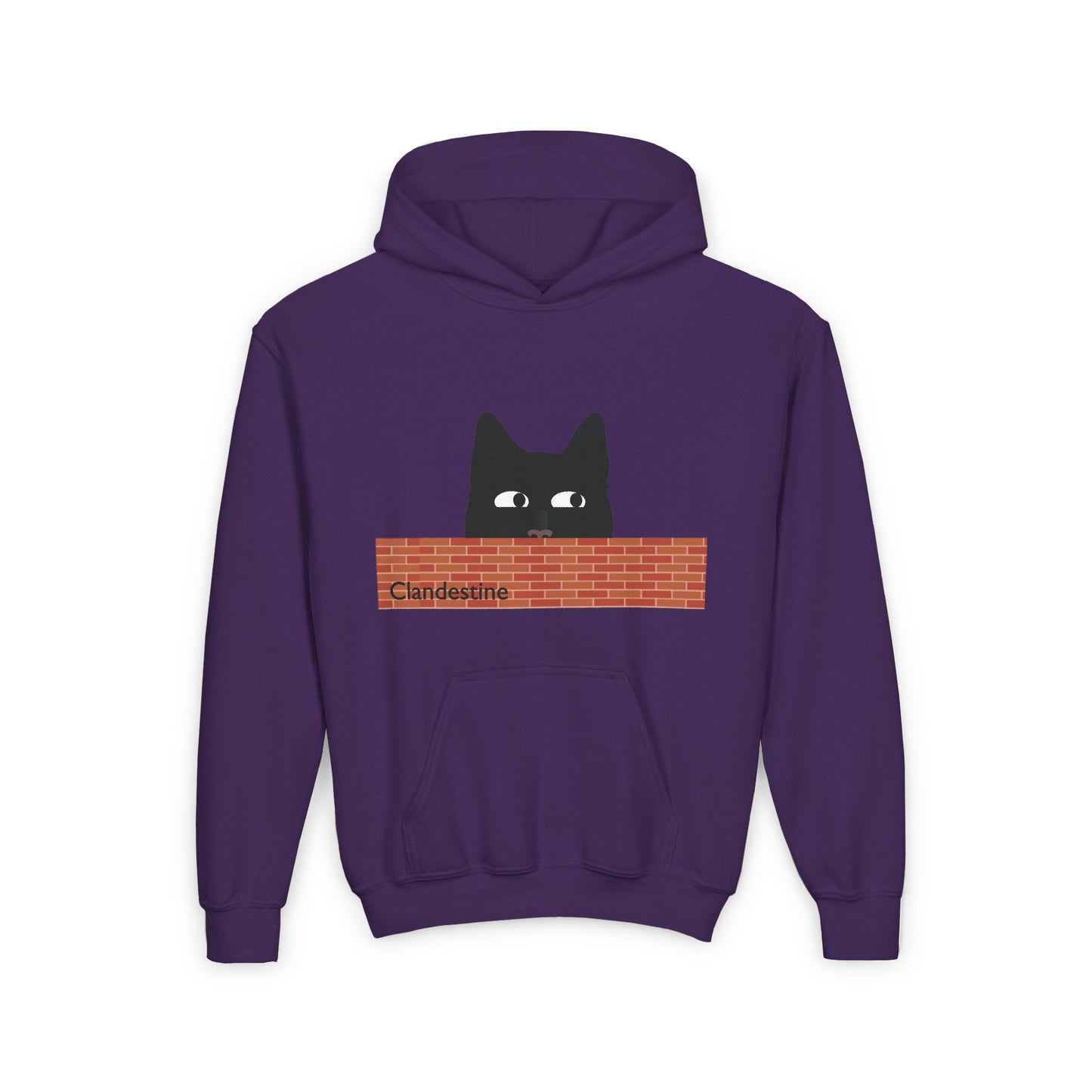 Clandestine Cat Youth Hoodie