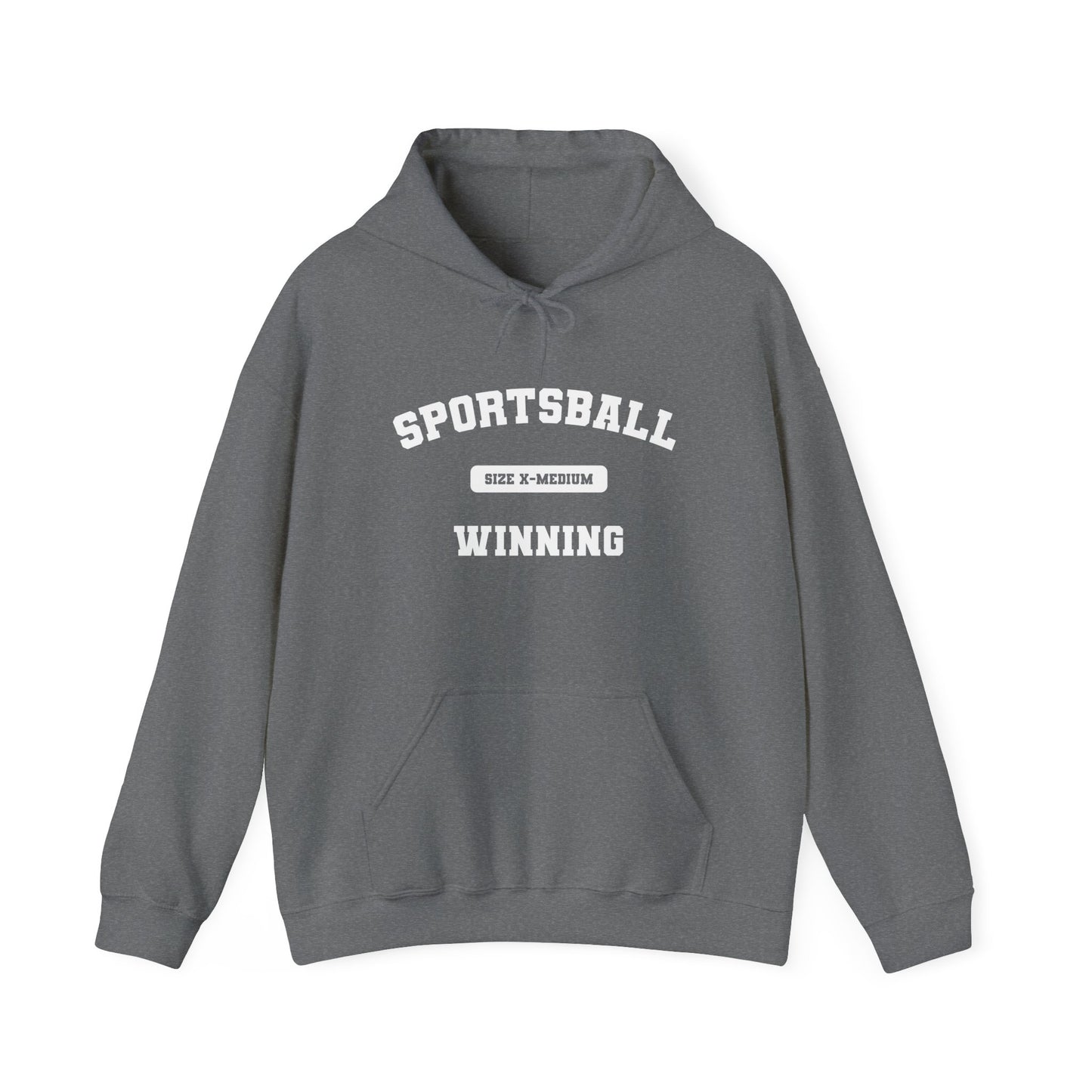 Sportsball Heavy Blend Hoodie