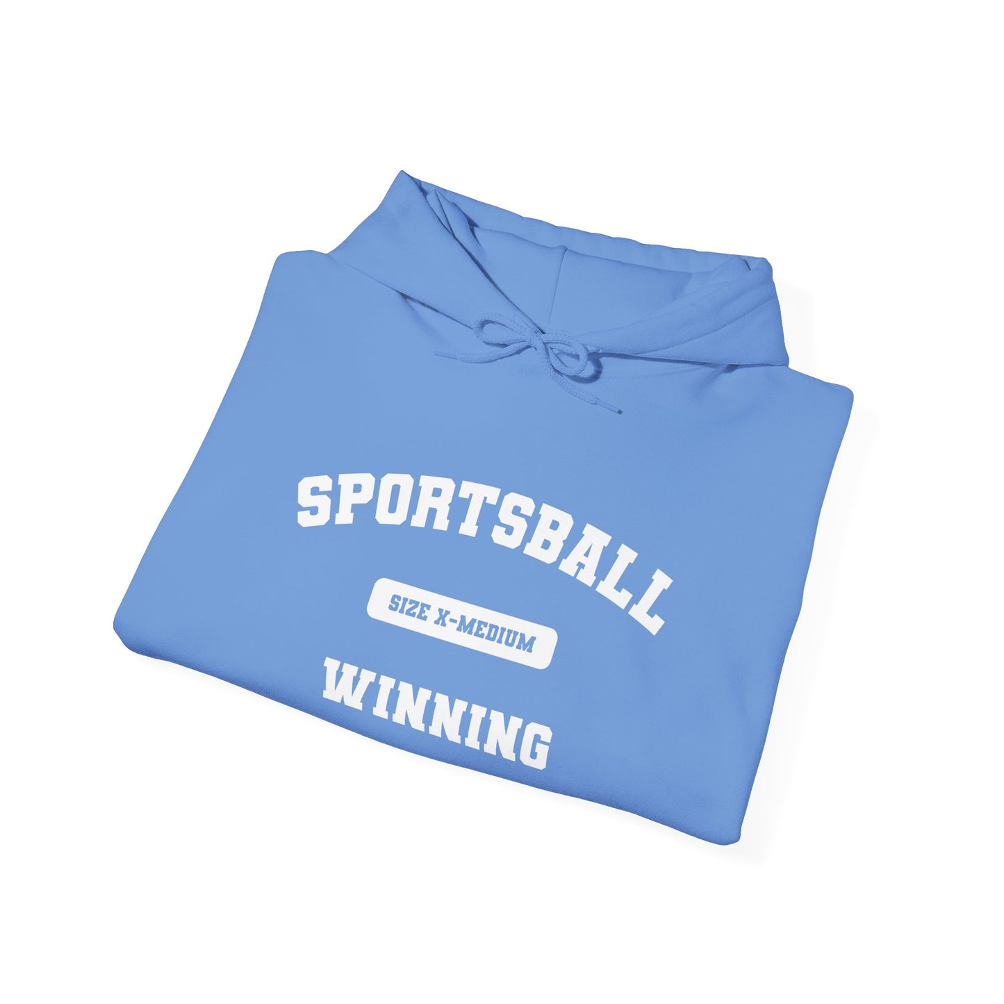 Sportsball Heavy Blend Hoodie